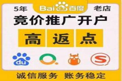 竞价广告的智能投放：XX平台的创新实践